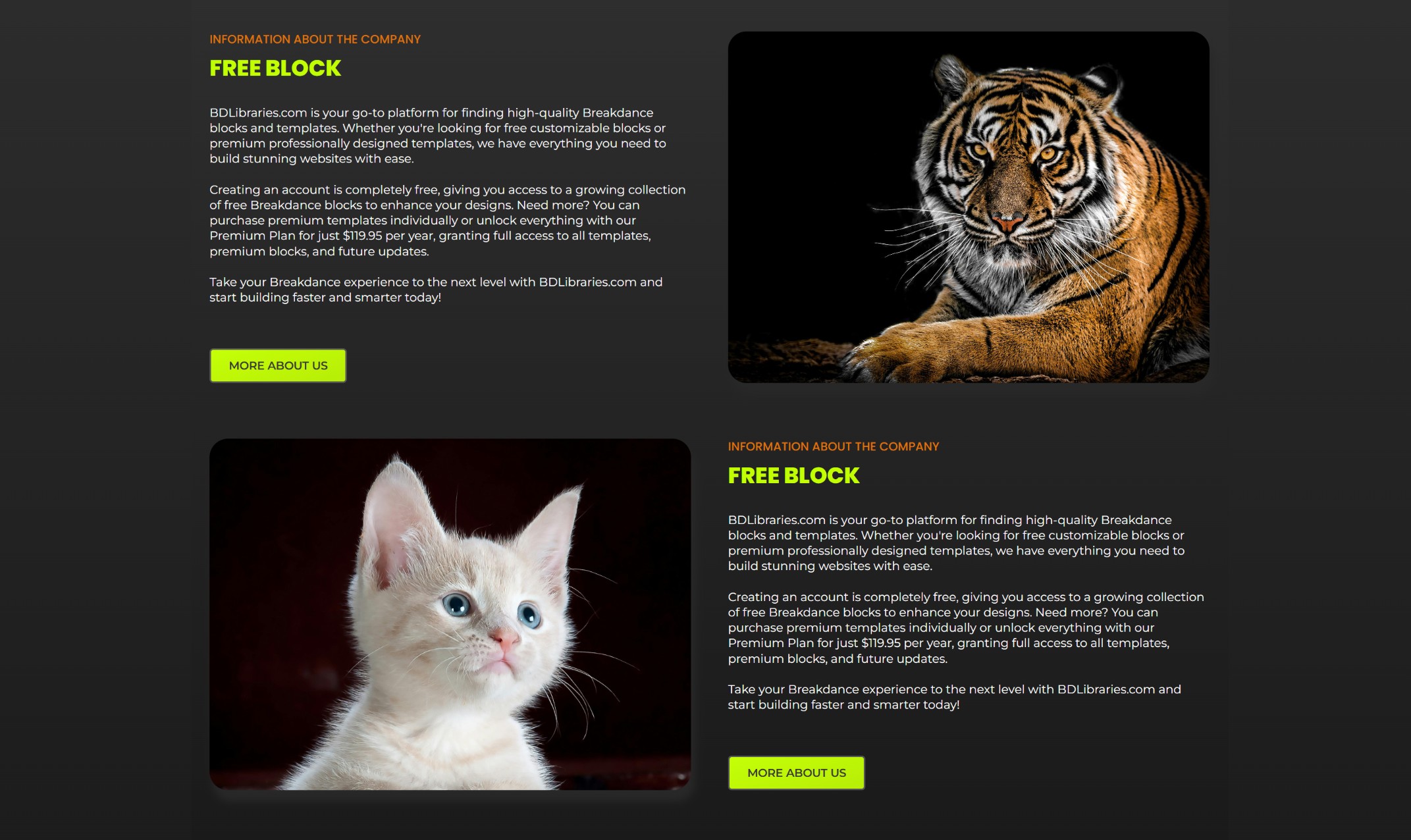 Breakdance content blocks