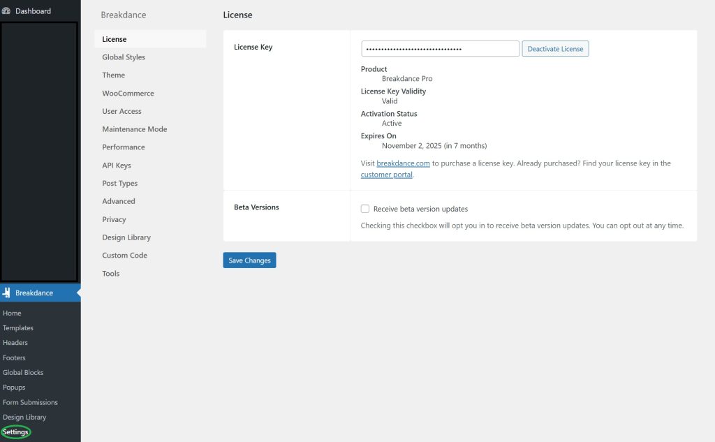 Breakdance Design Library Premium 3 Breakdance settings page